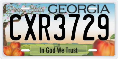 GA license plate CXR3729