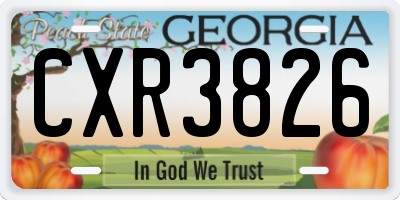 GA license plate CXR3826