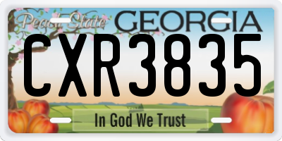 GA license plate CXR3835