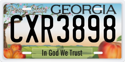 GA license plate CXR3898