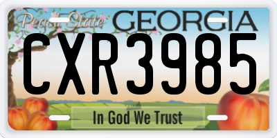 GA license plate CXR3985