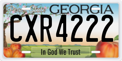 GA license plate CXR4222