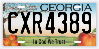GA license plate CXR4389