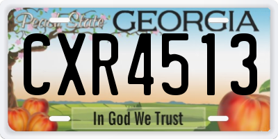 GA license plate CXR4513