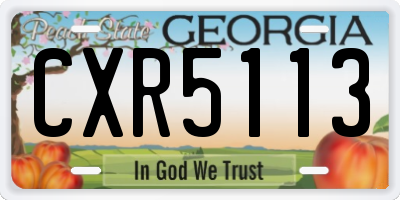 GA license plate CXR5113