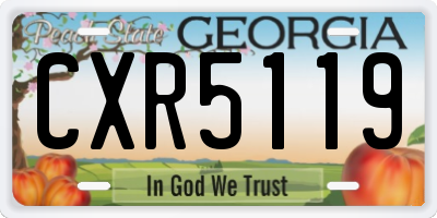 GA license plate CXR5119