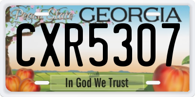 GA license plate CXR5307