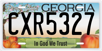 GA license plate CXR5327