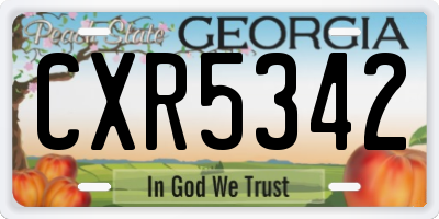 GA license plate CXR5342