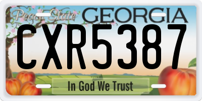 GA license plate CXR5387