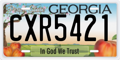 GA license plate CXR5421