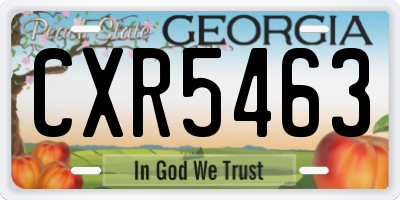 GA license plate CXR5463