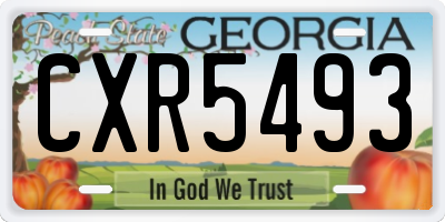 GA license plate CXR5493