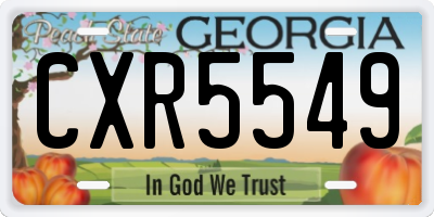GA license plate CXR5549