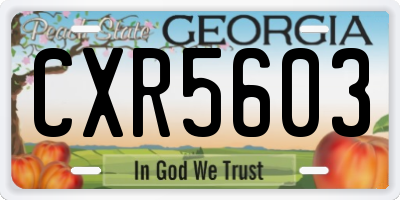 GA license plate CXR5603