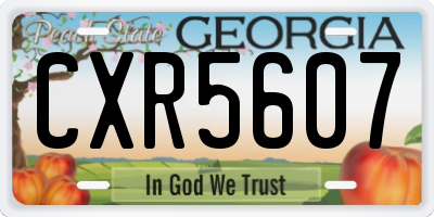 GA license plate CXR5607