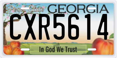 GA license plate CXR5614