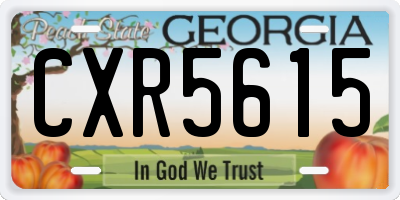 GA license plate CXR5615