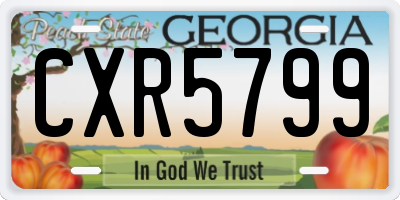 GA license plate CXR5799
