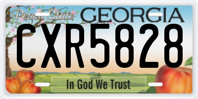 GA license plate CXR5828