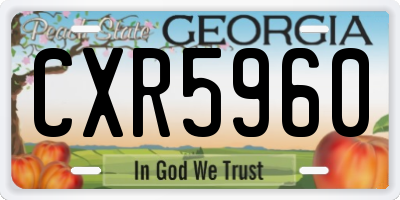 GA license plate CXR5960
