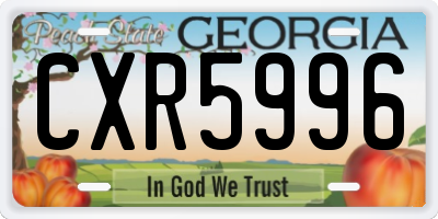 GA license plate CXR5996