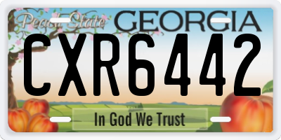 GA license plate CXR6442