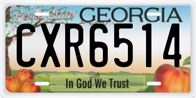GA license plate CXR6514