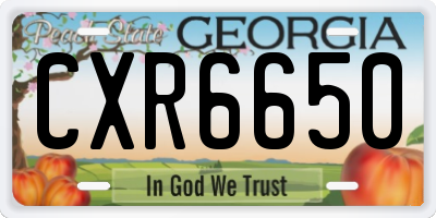 GA license plate CXR6650