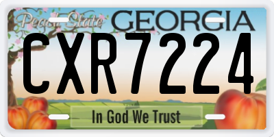 GA license plate CXR7224