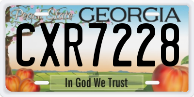 GA license plate CXR7228