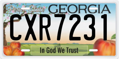 GA license plate CXR7231