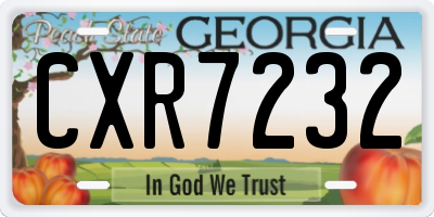GA license plate CXR7232