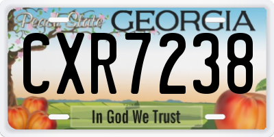 GA license plate CXR7238