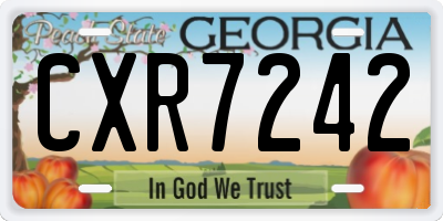 GA license plate CXR7242
