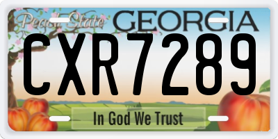 GA license plate CXR7289
