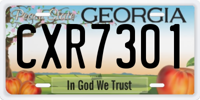 GA license plate CXR7301