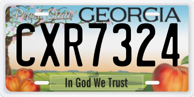 GA license plate CXR7324