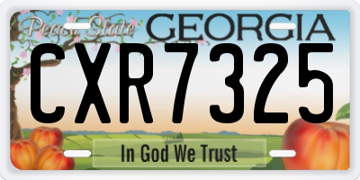 GA license plate CXR7325