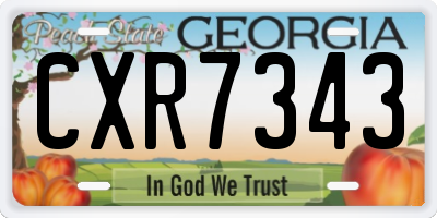 GA license plate CXR7343
