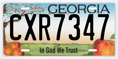 GA license plate CXR7347