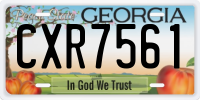 GA license plate CXR7561