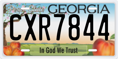 GA license plate CXR7844