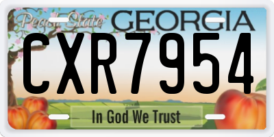 GA license plate CXR7954