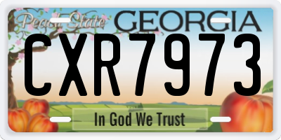 GA license plate CXR7973