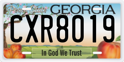 GA license plate CXR8019