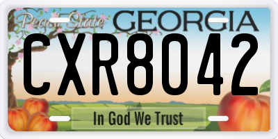 GA license plate CXR8042
