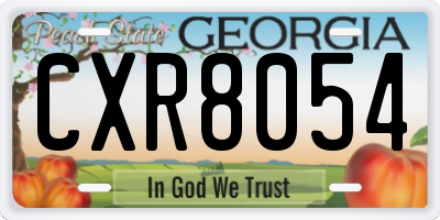 GA license plate CXR8054