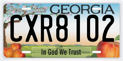 GA license plate CXR8102