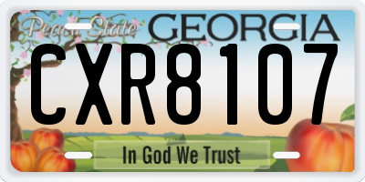 GA license plate CXR8107